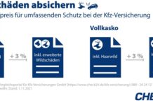 Kfz-Versicherung: Crash mit Tieren ausreichend versichern