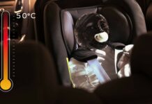 Neue Technologie von Ford schützt Kinder und Haustiere im Auto vor gefährlichem Hitzschlag