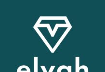 Schluss mit dem Ladedschungel für E-Autos: Start-up elvah launcht App mit deutschlandweiter Ladeflatrate