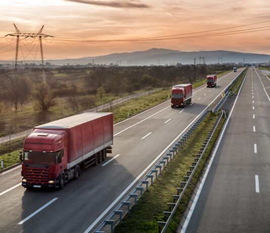 Kfz-Ranking: Die beliebtesten Lkws im Corona-Jahr 2020