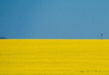 Keine Vermittlungsgebühr für Ukraine-Flüchtlinge