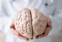 Jens Schwamborn: Mit Mini-Brains gegen Parkinson