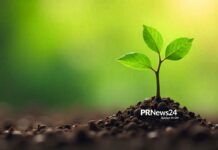 Die Wissenschaft hinter erfolgreicher PR: Was B2B braucht