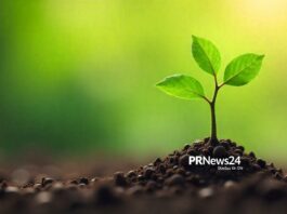 Die Wissenschaft hinter erfolgreicher PR: Was B2B braucht