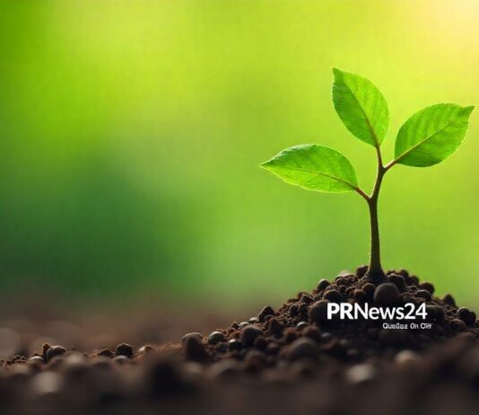 Die Wissenschaft hinter erfolgreicher PR: Was B2B braucht