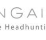 Braingain erweitert Headhunting-Dienstleistungen für zentrale Industriebranchen